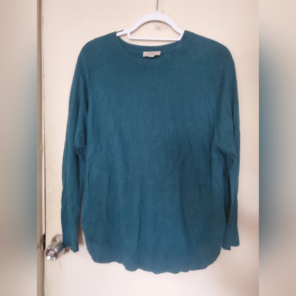 Blue sweater